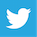ICON_38_Twitter.png