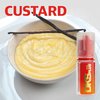 Custard - DKS Plus Flavour Concentrate 10ml