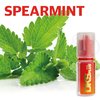 Spearmint - DKS Plus Flavour Concentrate 10ml