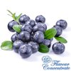 Blueberry Flavour Concentrate - 10ml