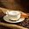 Mexican Coffee concentrate by TFA - 15ml