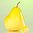 Pear Candy concentrate by TFA - 15ml