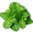 Spearmint concentrate by TFA - 15ml