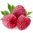 Raspberry (Sweet) Flavour Concentrate - 10ml