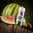 Watermelon Kiwi by SQZD - 100ml Shortfill