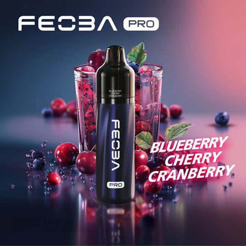 Blueberry Cherry Cranberry Feoba Pro 6000 Big Puff Kit