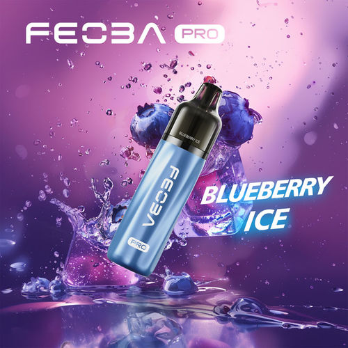 Blueberry Ice Feoba Pro 6000 Big Puff Kit