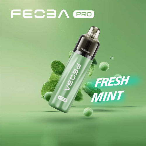 Fresh Mint Feoba Pro 6000 Big Puff Kit