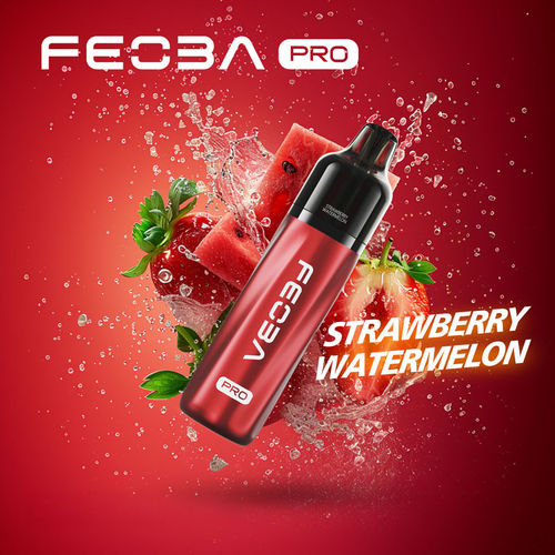 Strawberry Watermelon Feoba Pro 6000 Big Puff Kit
