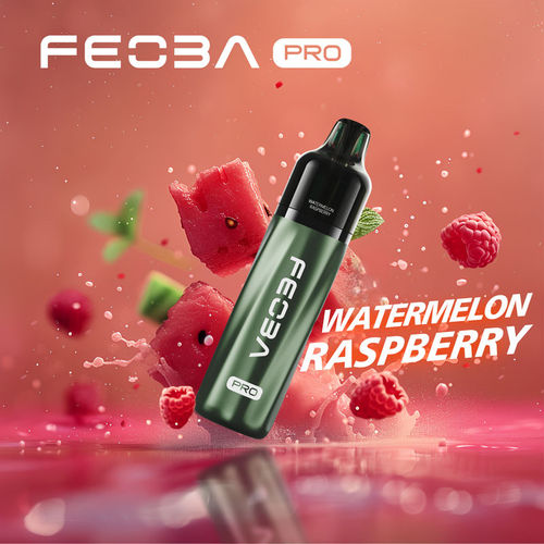 Watermelon Raspberry Feoba Pro 6000 Big Puff Kit