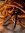 Coils by Scott - CBS Snips Wire Cutters