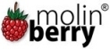 logo_molinberry_sm