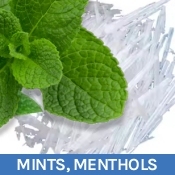 Mints and Menthol Flavours